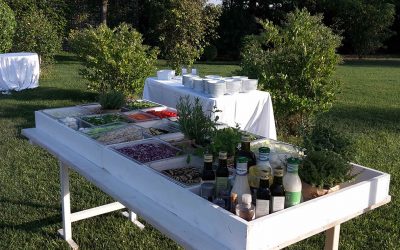 Banqueting e Catering a Modena per eventi importanti